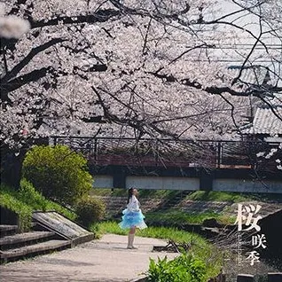 桜咲季 表紙